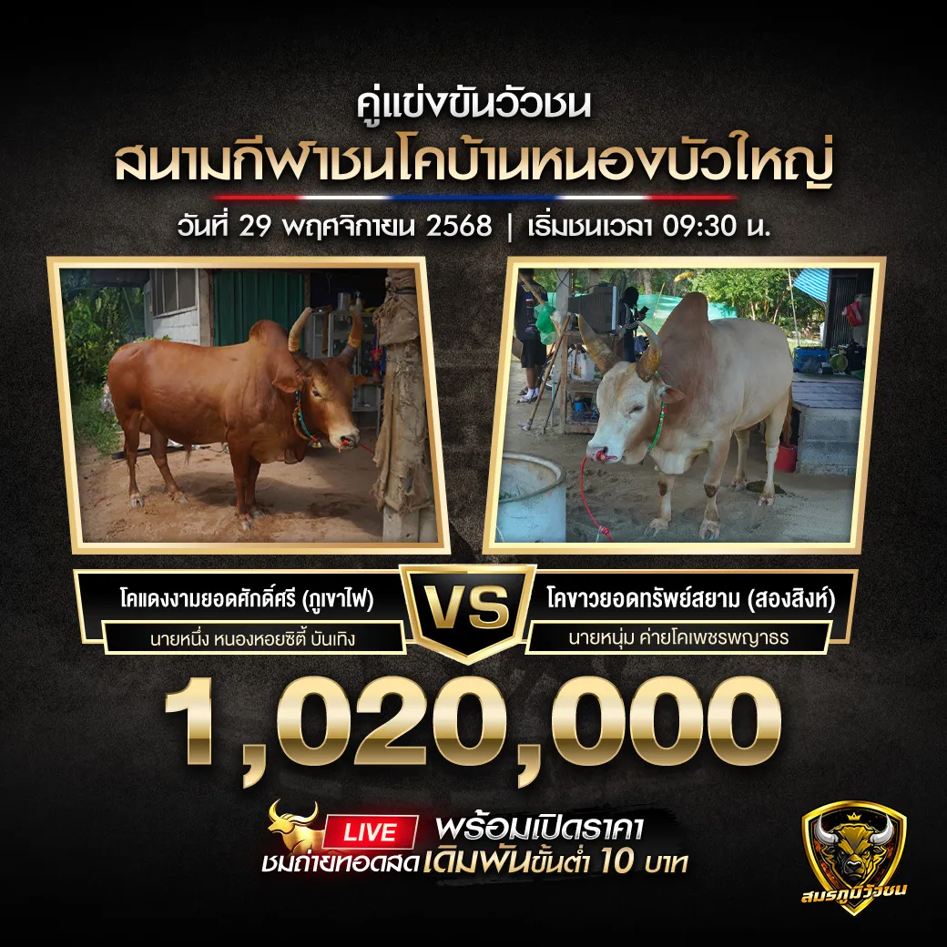 คู่เอก บ้านหนองบัวใหญ่ 29.11.68