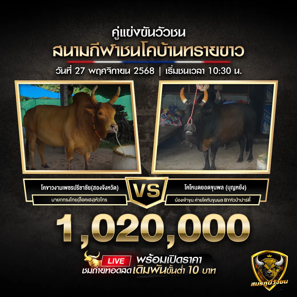 คู่เอกสนามกีฬาชนโคบ้านทรายขาว271168