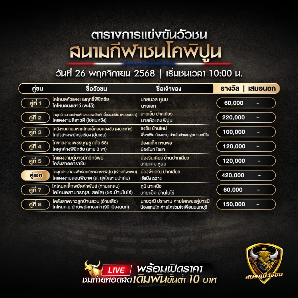 สนามกีฬาชนโคพิปูน 26