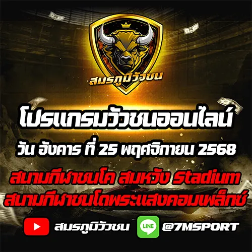 โปรแกรมวัวชนออนไลน์ 25.11.68