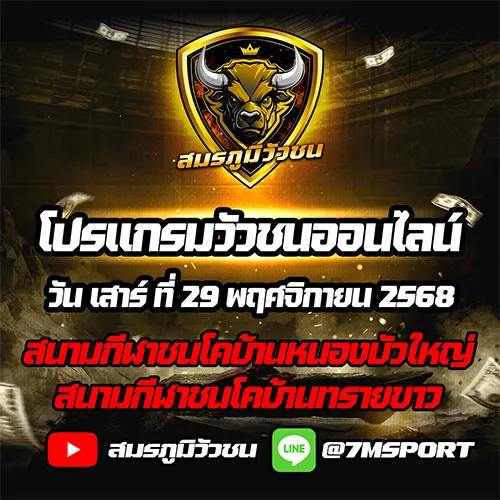 โปรแกรมวัวชน วันที่ 29 พฤศจิกายน 2568