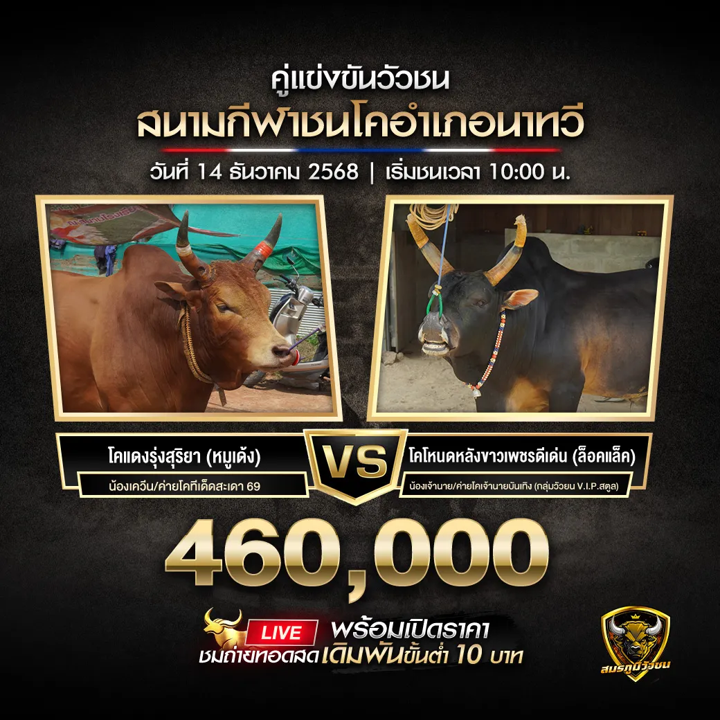 คู่เอก สนามกีฬาชนโคอำเภอนาทวี 14.12.68