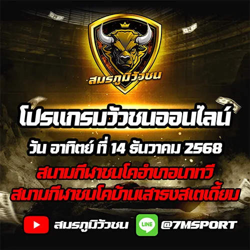 โปรแกรมวัวชนออนไลน์ 14.12.68